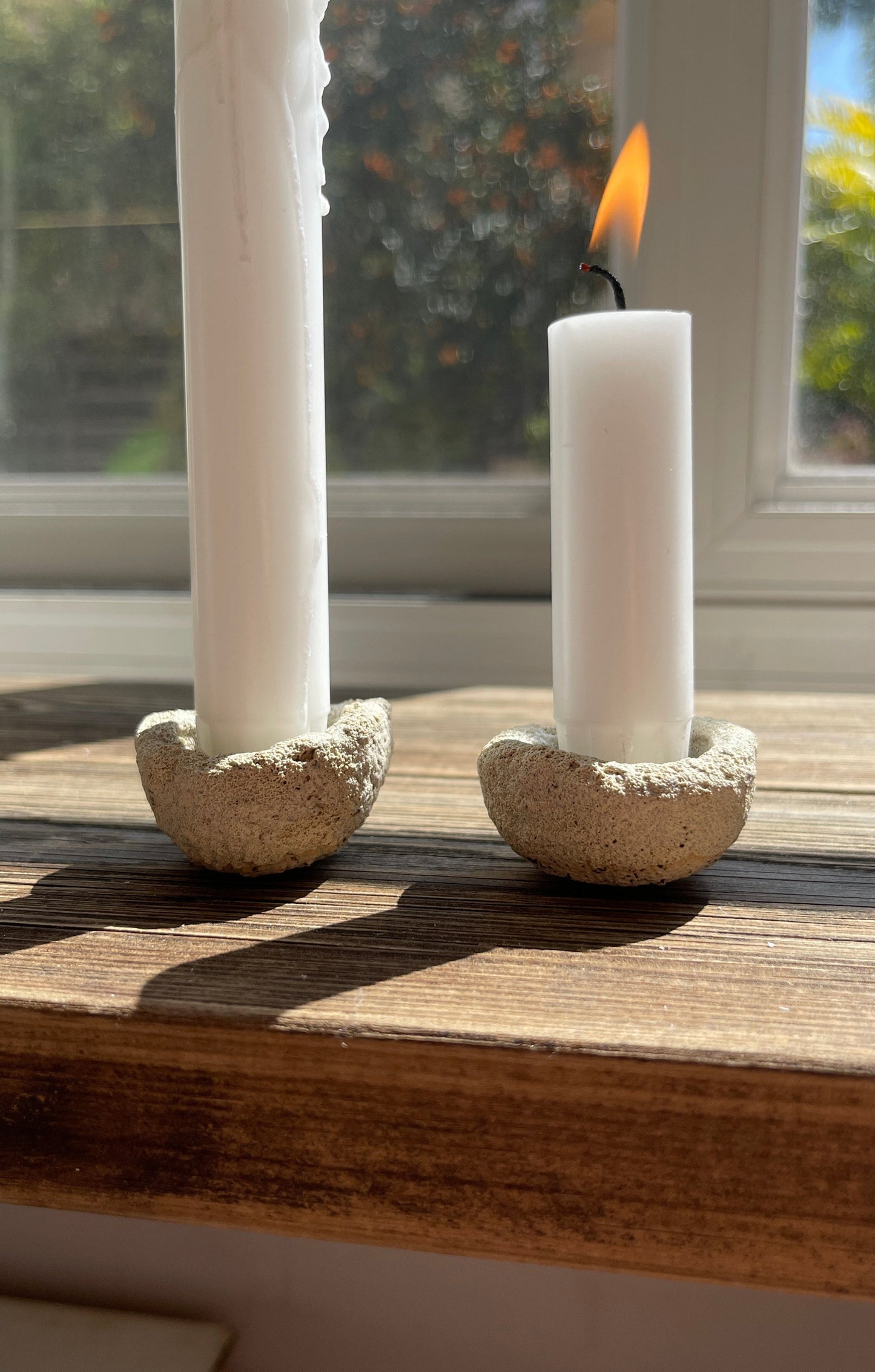 פמוטים דמוי אבן-Coral